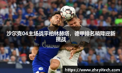 博鱼.体育官网