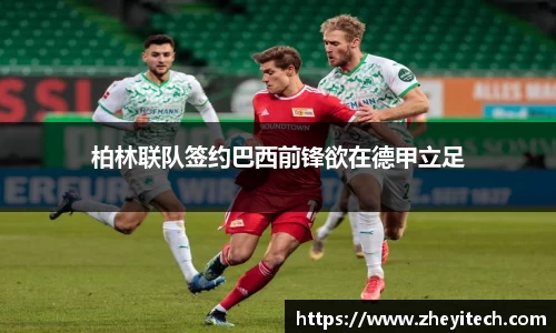 博鱼.体育官网