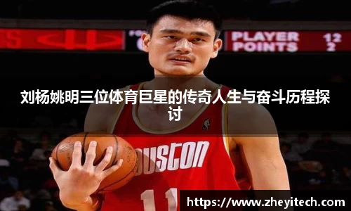 博鱼.体育官网