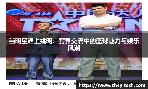 当明星遇上姚明：跨界交流中的篮球魅力与娱乐风潮