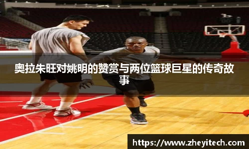 奥拉朱旺对姚明的赞赏与两位篮球巨星的传奇故事