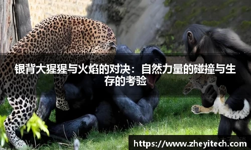博鱼中国官方入口