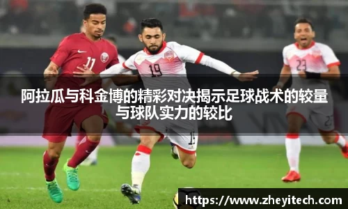 博鱼.体育官网