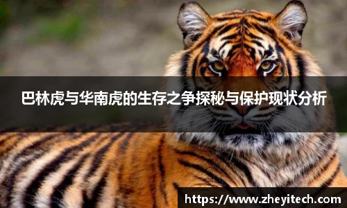 博鱼中国官方网站