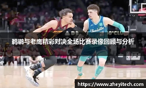 博鱼中国官方网站