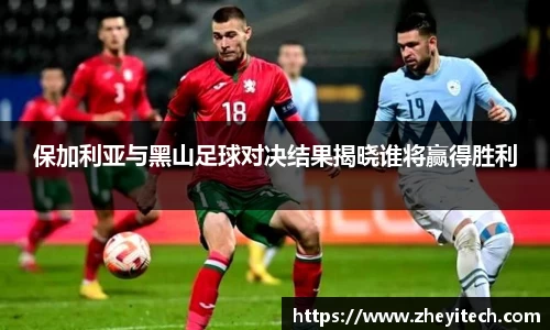 博鱼.boyu体育